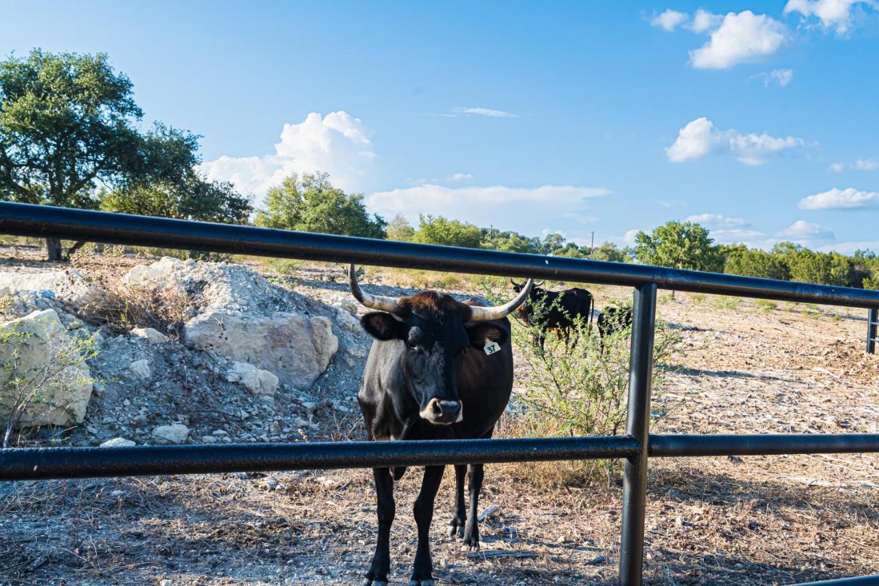 Gruene Daze Chalet - Stylish Aframe - Escape The Ordinary New Braunfels Esterno foto